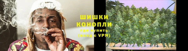 PSILOCYBIN Балахна