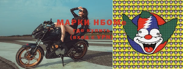 PSILOCYBIN Балахна