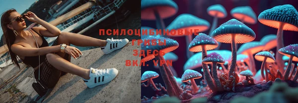 каннабис Баксан
