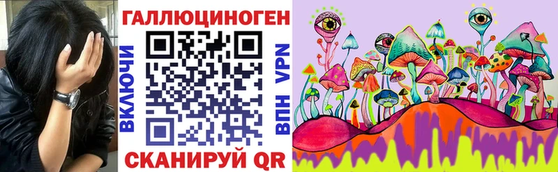 Купить закладки  Приволжск  Галлюциногенные грибы прущие грибы 